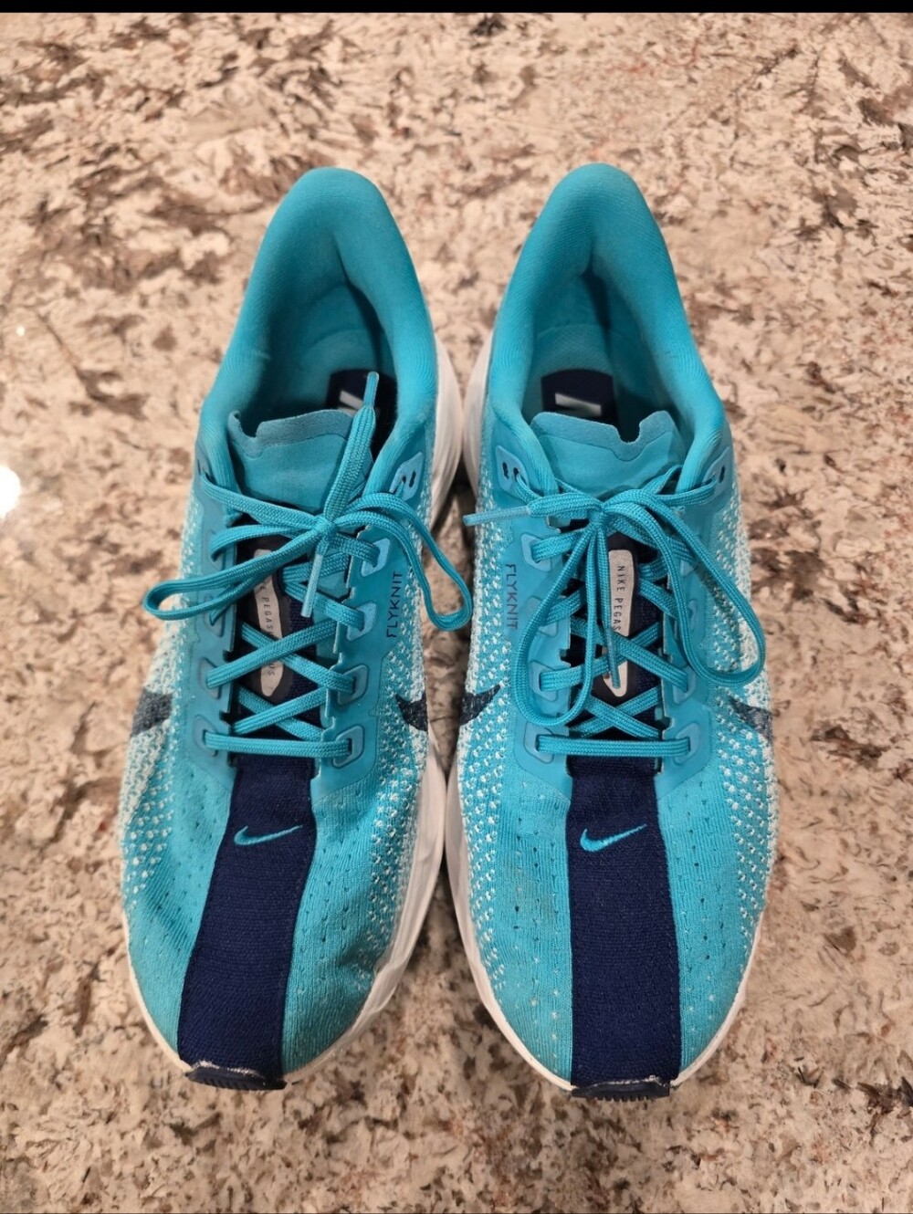 Nike Zoom Pegasus Plus Mens 10.5